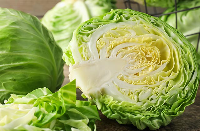 Green Cabbage