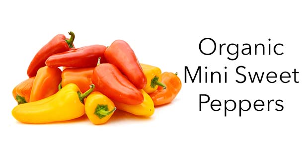 Organic Mini Sweet Peppers